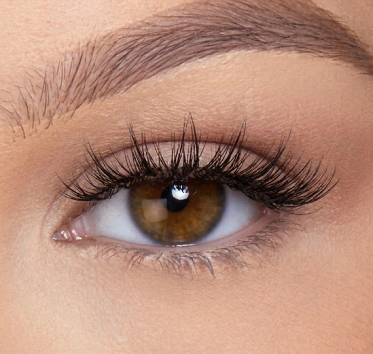 Blair lashes
